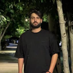 Soheil Parsaei's picture